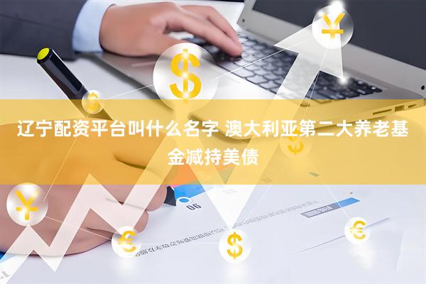 辽宁配资平台叫什么名字 澳大利亚第二大养老基金减持美债